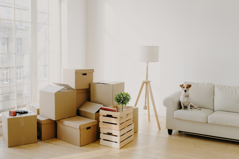 高雄搬家提供7點幫助您選擇合適的搬家公司